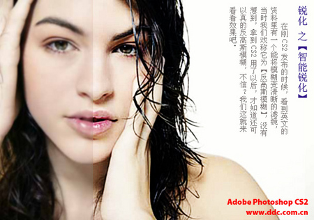 使用PS CS2 智能锐化功能调清晰照片