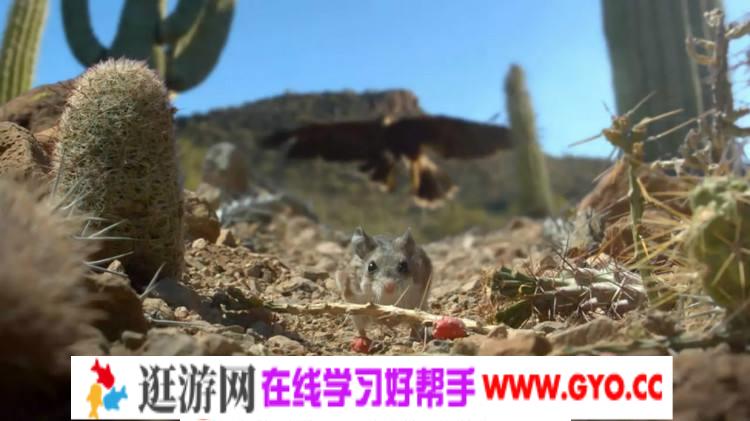 BBC.Hidden.Kingdoms【隐含的王国】2014 高清2