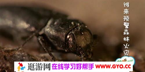 萌眼看世界之人类可见光“之外的世界”（超清打包）百度网盘