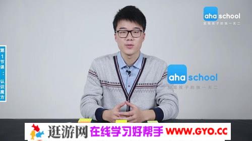 魔方冠军王鹰豪亲授，最好玩的学习力提升（高清完结打包）百度网盘