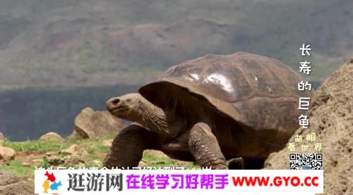 萌眼看世界之带孩子玩转南美狂野海岛（高清打包）百度网盘