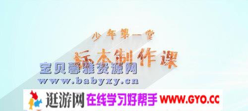 标本制作培养动手能力（完结）（高清视频）百度网盘