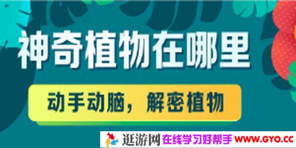 神奇植物在哪里，动手动脑，解密植物