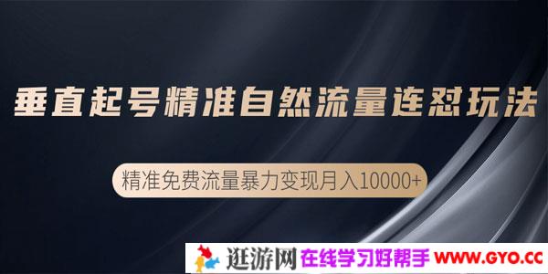 垂直起号精准自然流量连爆玩法，精准引流暴力变现