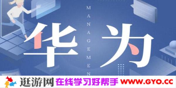 华为国际化管理36讲-陈攀峰