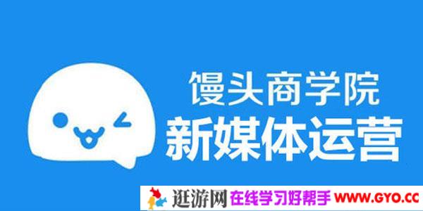 馒头商学院·新媒体运营体系课