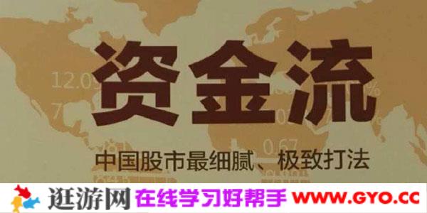 2020年狂龙十八段龙大龙妈资金流视频课程