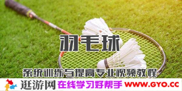 李在福-羽毛球系统训练与提高专业视频教程