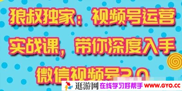 狼叔-视频号运营实战课2.0 快速吸粉吸金