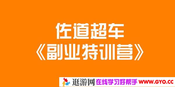 佐道超车副业特训营课程 13集