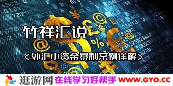 竹祥汇说《外汇小资金暴利案例详解》