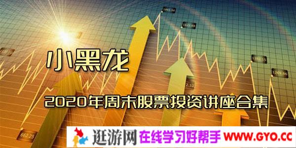 小黑龙-2020年周末股票投资讲座合集
