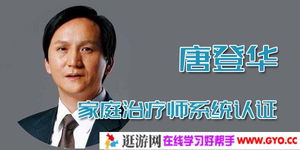 唐登华-家庭治疗师系统认证20讲全套课程