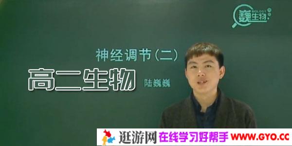 陆巍巍-高二生物年卡必修3+选修1、3