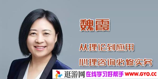 魏霞-从理论到应用 心理咨询必修实务