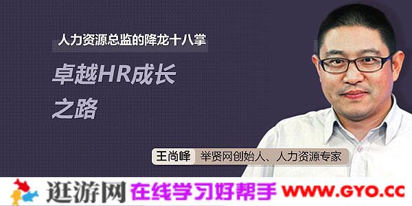 王尚峰-人力资源总监的降龙十八掌：卓越HR成长之路