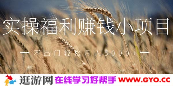 柚子-网赚副业实操赚钱小项目，足不出门轻松月入5000+