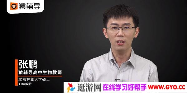 张鹏-猿辅导 备考2020高考 复习生物寒假班