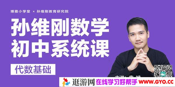 袁斌-孙维刚初中数学系统课代数基础