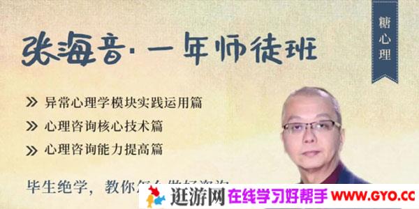 张海音-毕生绝学教你怎么做好心理咨询治疗