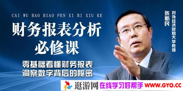 张新民-老板和高管必修的财务报表分析课