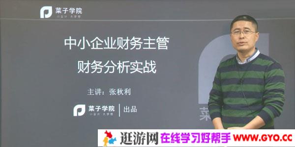 张秋利-中小企业财务主管 财务分析实战课程