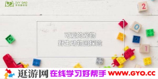 常青藤-益智玩具乐高积木创意搭建游戏