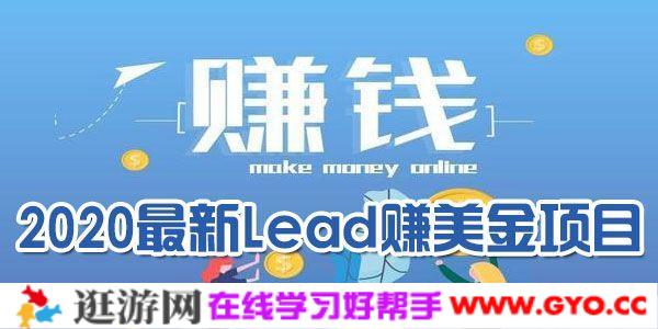 最新lead国外网赚项目2.0，在家日赚500刀美金