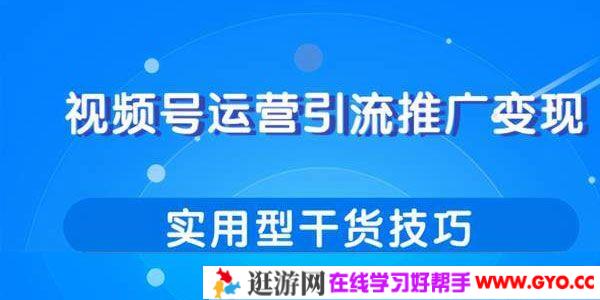 柚子-视频号运营引流推广变现 实用型干货技巧分享课