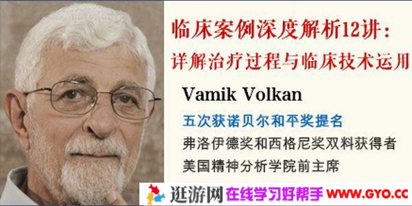 Vamik-精神分析泰斗临床案例深度解析12讲