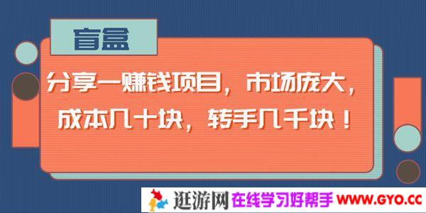 盲盒-分享一个市场庞大的赚钱项目 成本几十块 转手几千块