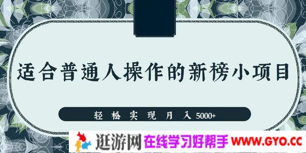 一个适合普通人操作的赚钱项目 新手轻松实现月入5000+