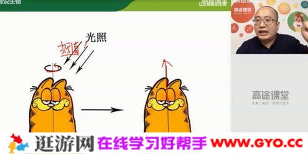 徐京-高途课堂 2020高二生物秋季班