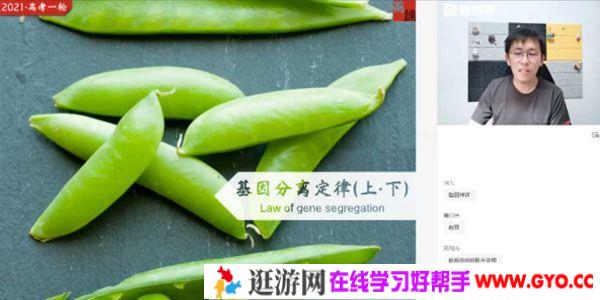 张鹏-猿辅导 高三备考2021 生物秋季班