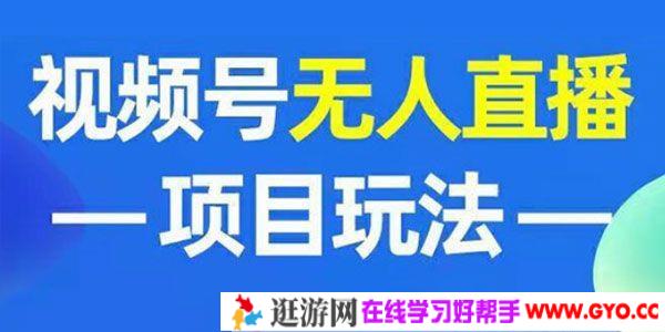 视频号无人直播项目：自动增加粉丝带货赚钱 [带直播素材]