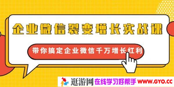 《企业微信裂变增长实战课》搞定企业微信千万增长红利