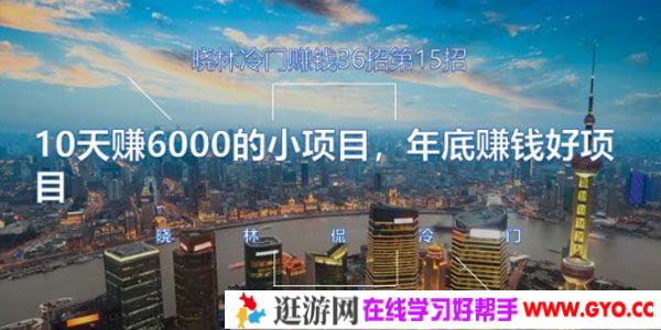 晓林冷门赚钱第15招：10天赚6000的小项目 年底赚钱好项目