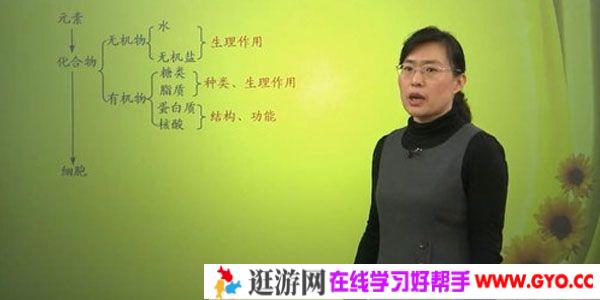 毕诗秀 北京四中网校 高三生物