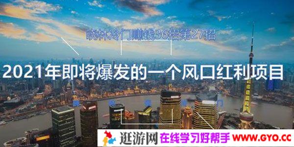 晓林冷门 赚钱36招第27招 2021年即将爆发的一个风口红利项目