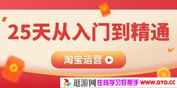 淘宝运营必备教程 25天从入门到精通