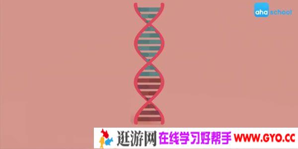 芝麻学社《基因的秘密》儿童生物常识课