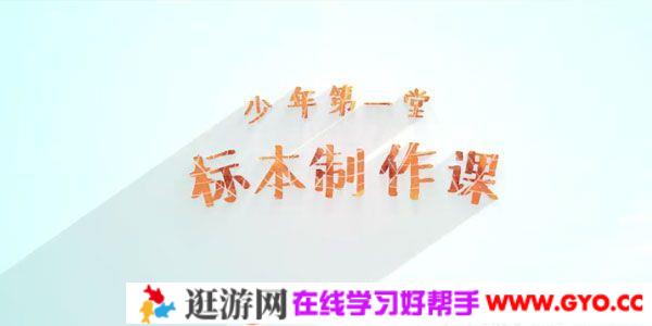 芝麻学社《少年第一堂标本制作课》培养孩子动手能力
