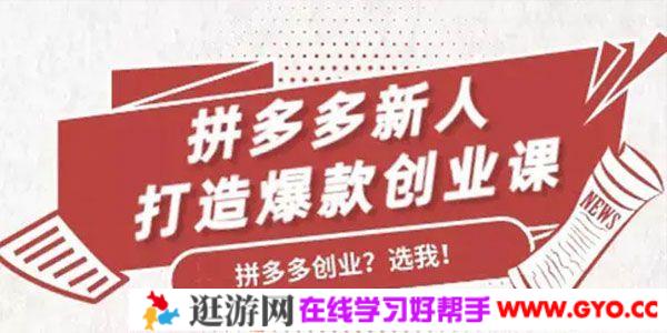 搜外网《拼多多新人打造爆款创业课》快速引流持续出单