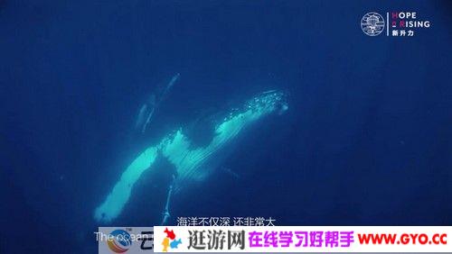 芝麻学社《给孩子的第一堂海洋课》新升力海洋课