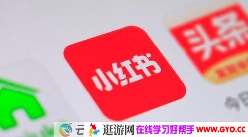 2021年小红书策划运营方案与报告