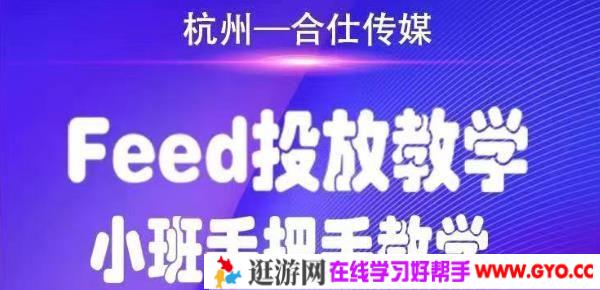 合仕传媒《Feed投放教学》小班手把手教学