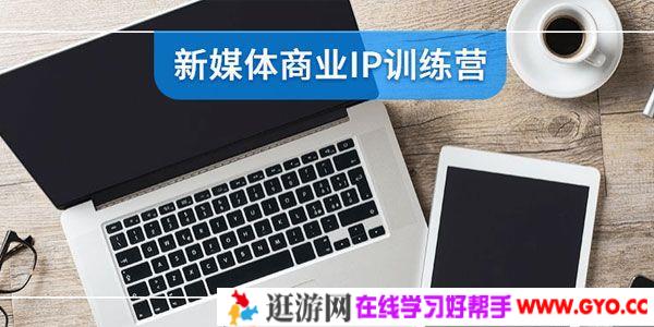 新媒体商业IP训练营