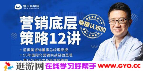 馒头商学院 颠覆认知的《营销底层策略12讲》