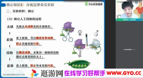 作业帮-邓康尧 高一生物 2021春季尖端班