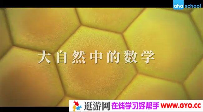 芝麻学社《大自然中的数学》